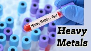 Heavy Metals